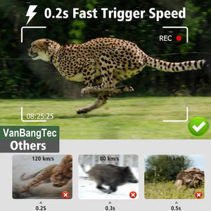 Solar-Powered Wildlife Trail Camera